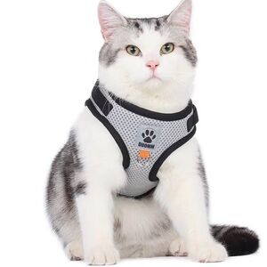 Dog/Cat Harness for Walking Escape Proof, Harness for Small Dog/Cat- New